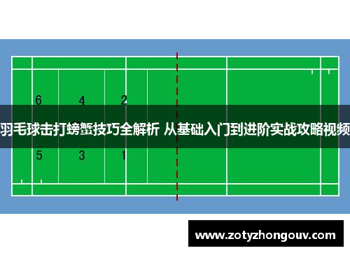 羽毛球击打螃蟹技巧全解析 从基础入门到进阶实战攻略视频